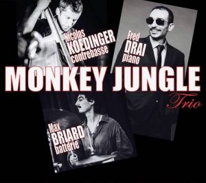 monkey jungle trio
